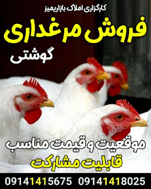 فروش مرغداری گوشتی 12000 متر در ارومیه