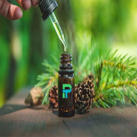 اسانس کاج  CAM AGACI شرکت پیرامید تجارت ارومیه